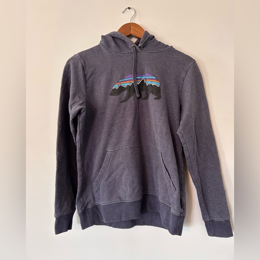 Patagonia Sweater Adult Small Gray Hoodie Fitz Roy Bear Organic STY39514 FA17